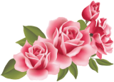 Flores rosas de adorno